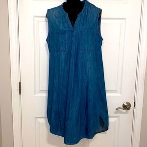 Women’s blue Jean dress